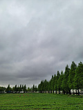 슬슬 장..