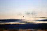 fly away [..
