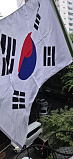 영광의 ..