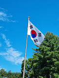 비온 뒤..