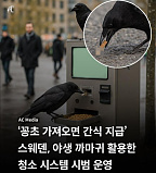 까마귀..