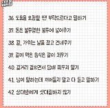 찐어른..