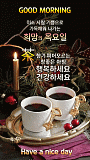 아침인..