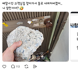 남의집 ..