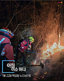 머니투..