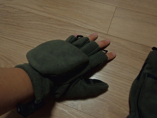 PB111558.JPG