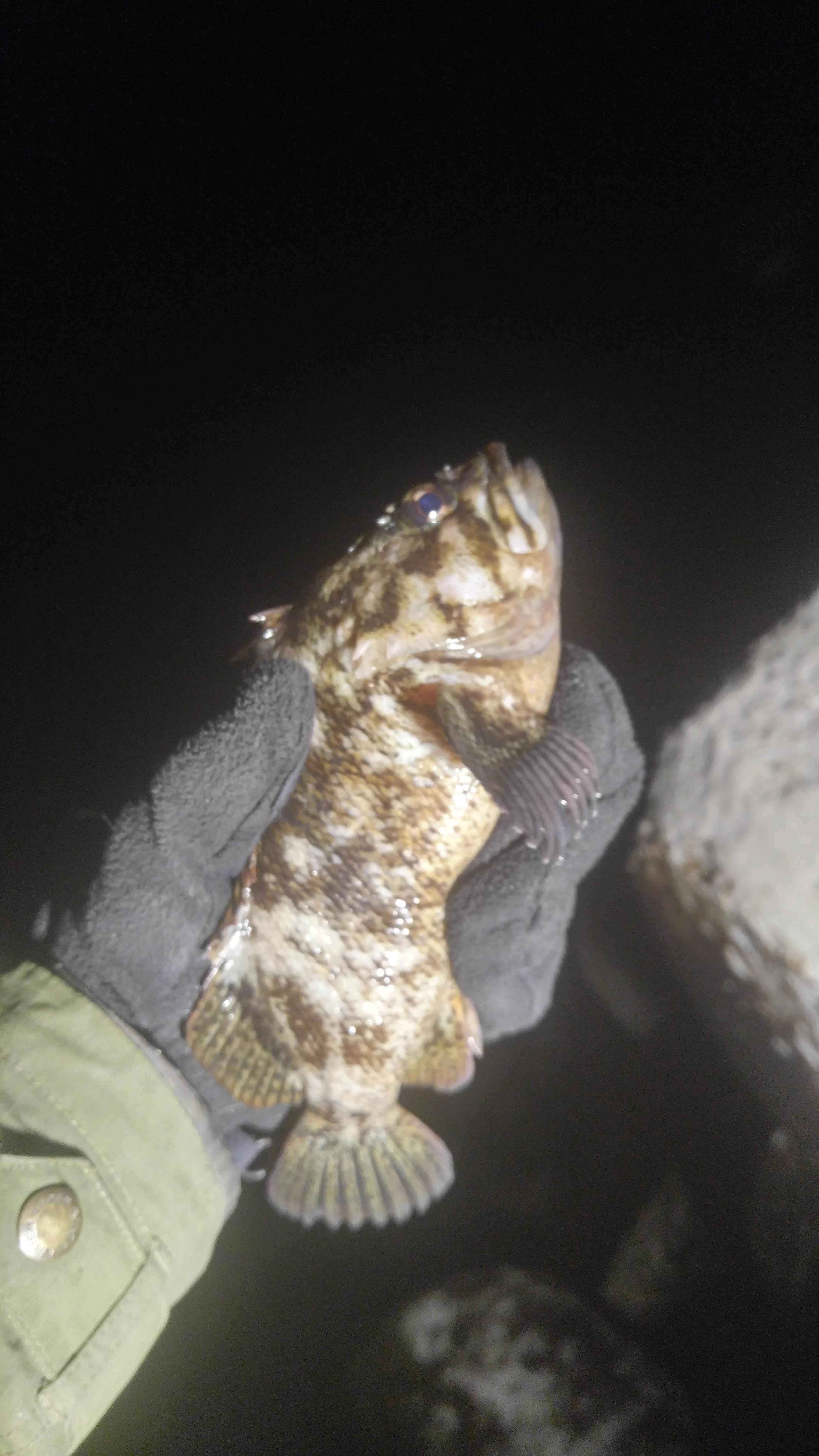 작년 겨울 낚시에 잘 사용했요