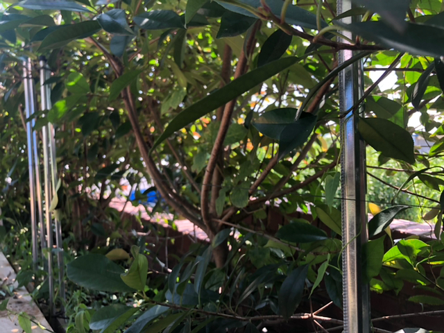 길이가 넉넉합니다