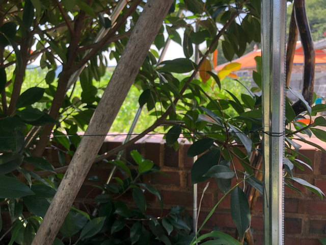 길이가 넉넉합니다