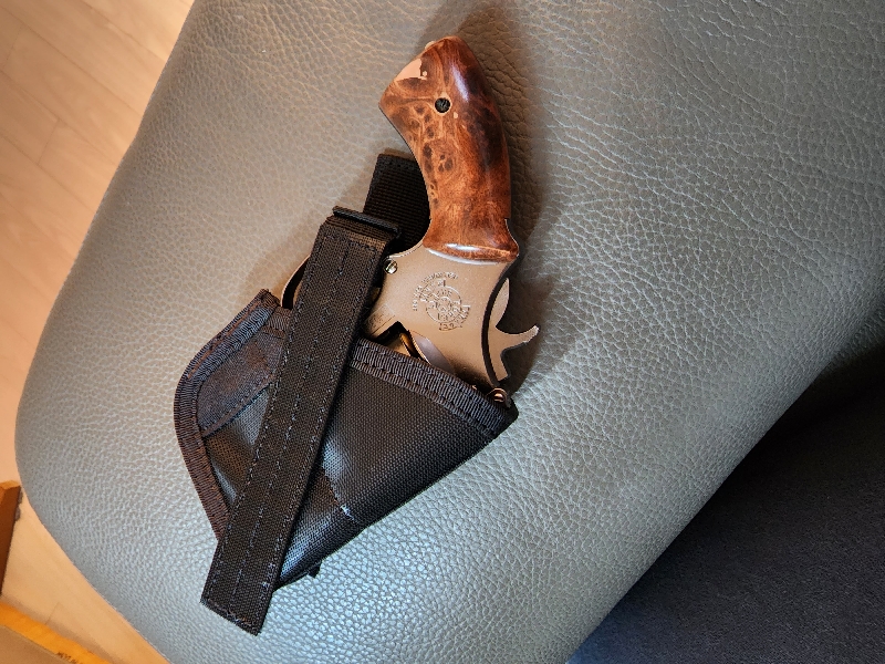 가스분사기로 홀스터 가능합니다