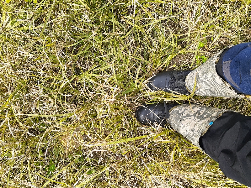 스와트 신고 능이 산행