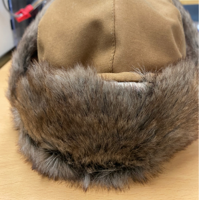 날 추울때 털달린거 하나 얹고 있어야 하는거 아닙니까