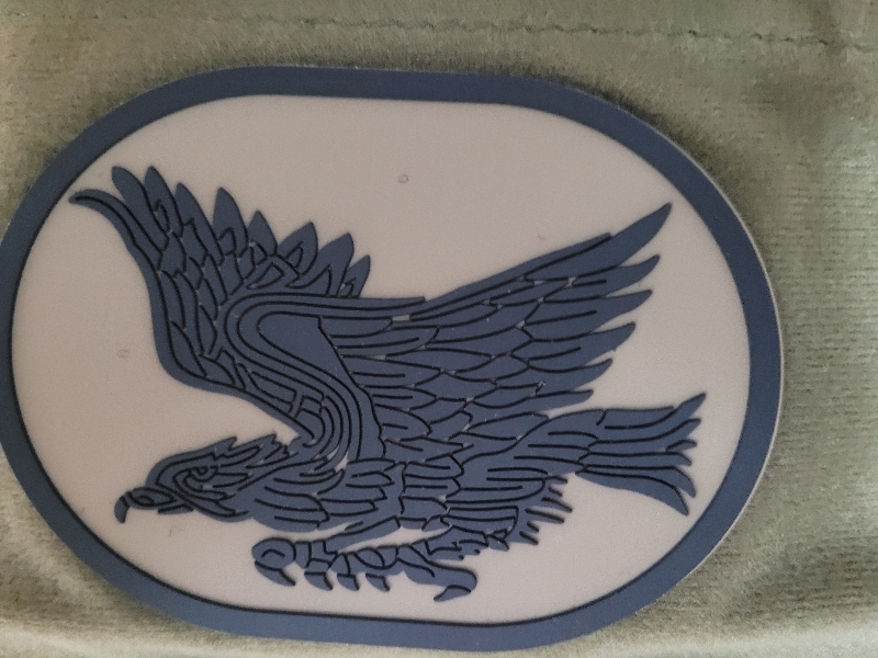 최고의 1공수 여단마크입니다!