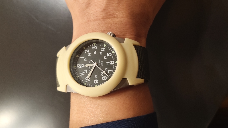 베르투치 프로가드