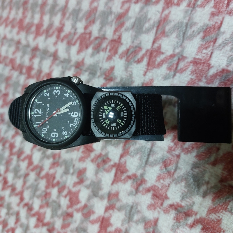 베르투치 나침반