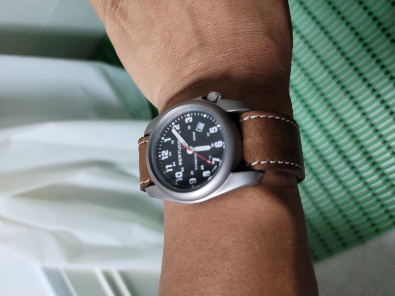 베르루치 호원가죽