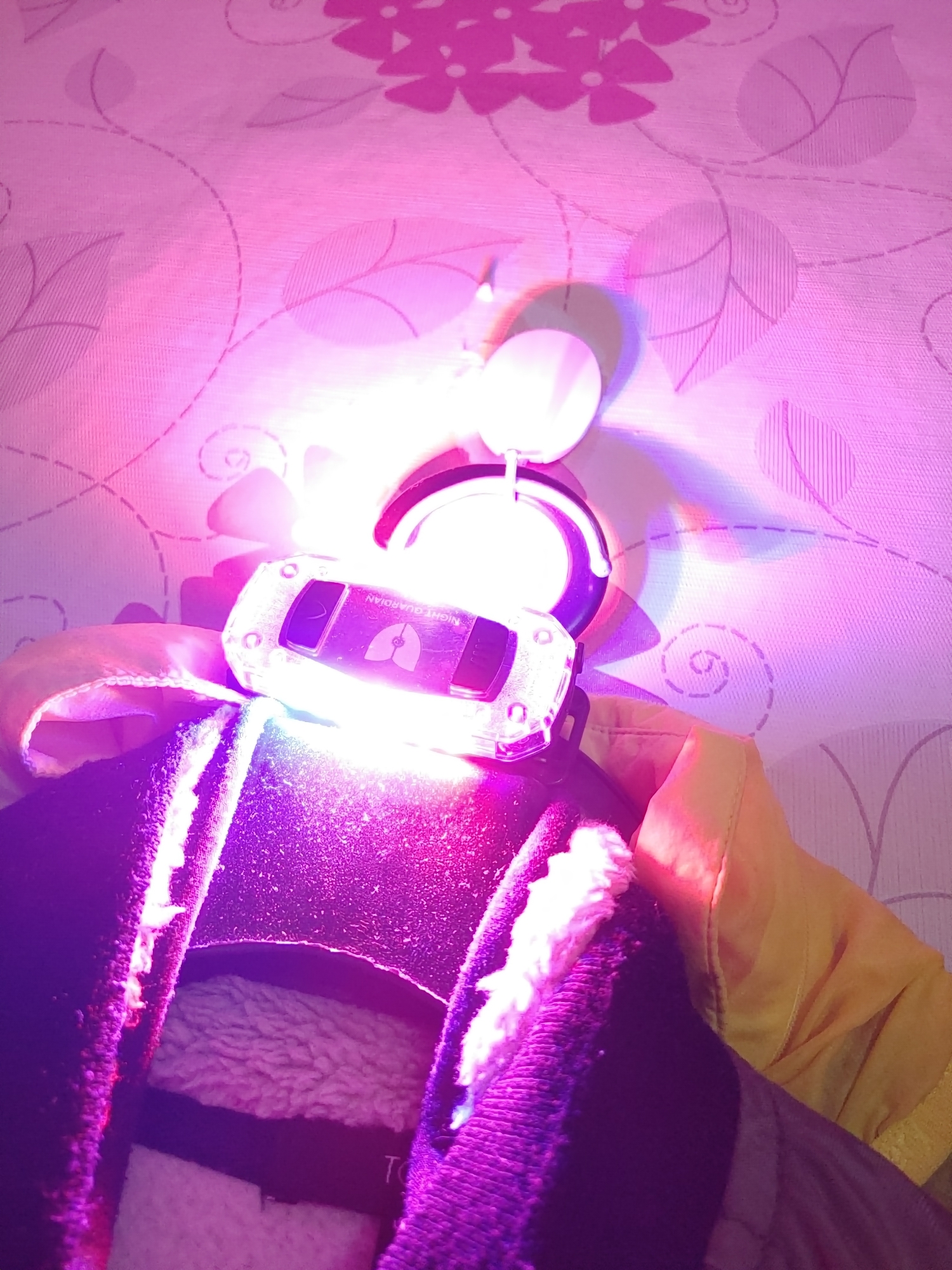 인싸가 되고싶으신가요.