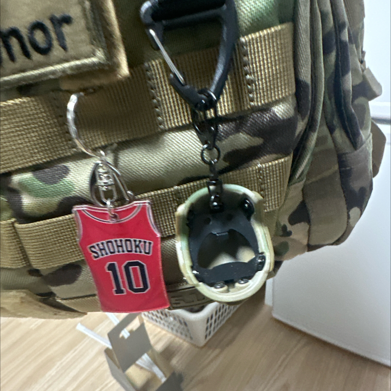 멀티캠 환자로서 그냥 지나갈수잇나요