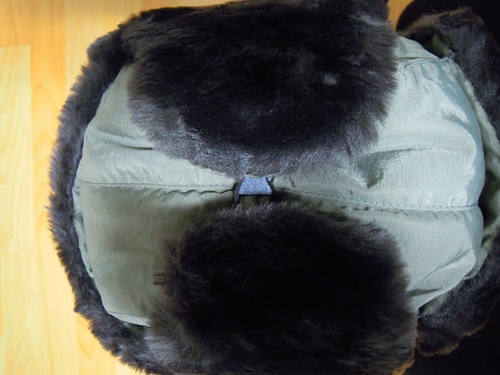 DSCN0979.JPG