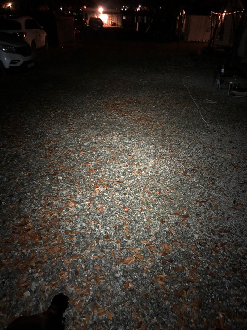 2019120319333500000086943.jpg