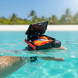 Surfing Cat 구명 팔찌