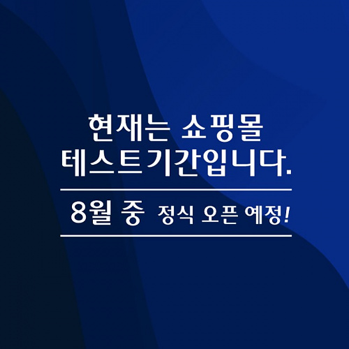 앨런(Allen) [테스트]넷피엑스 테스트 단품 상품[구매불가]