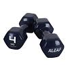 아리프 PVC 컬러 미용아령 4kg 2개 SET