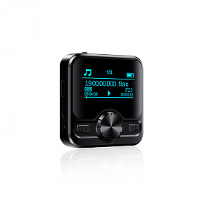 호신캠(HOSICAM) 호신캠 MP3녹음기 라디오 전차잭기능 15h
