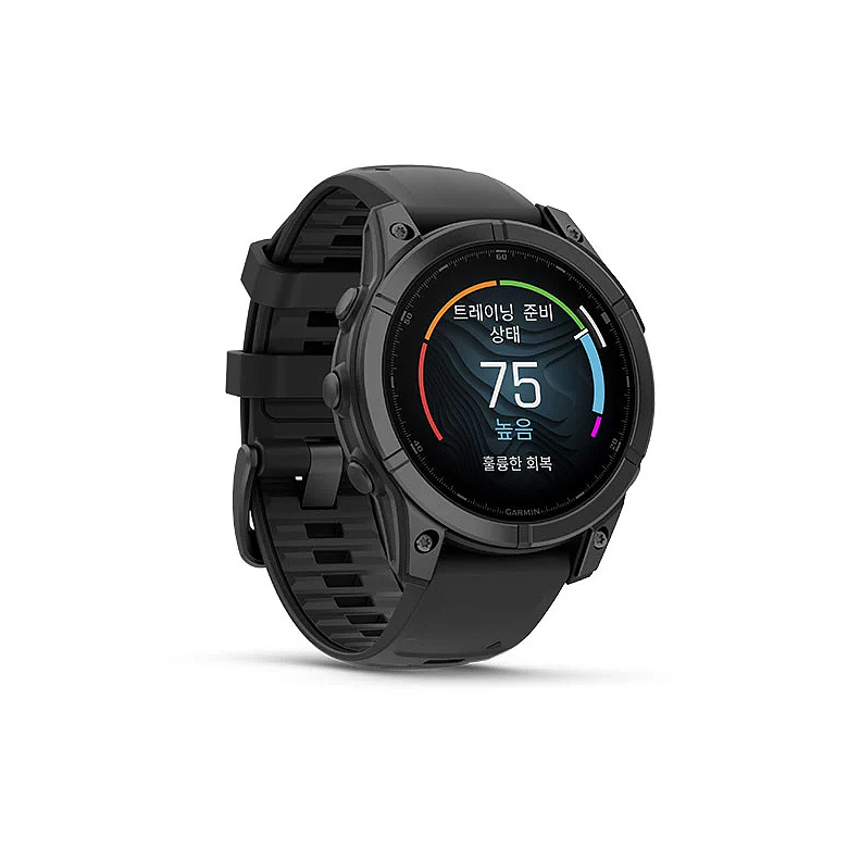 가민(GARMIN) 가민 피닉스 E 47mm GPS 프리미엄 아웃도어 스마트워치 (슬레이트 그레이)