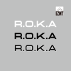 EZMT DIY ROKA 열전사지 3가지 색상 (2개 1세트)