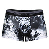 비투퍼폼 포효대호 ROARING TIGER 남성 드로즈 스포츠 팬티