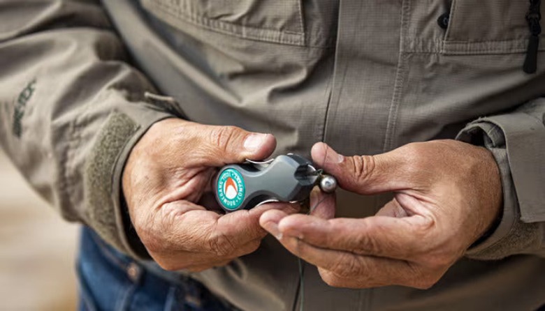 갤러리 이미지 6