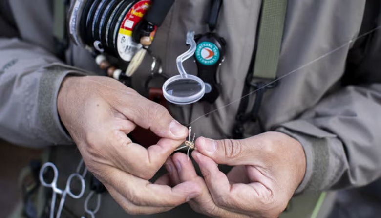 갤러리 이미지 9