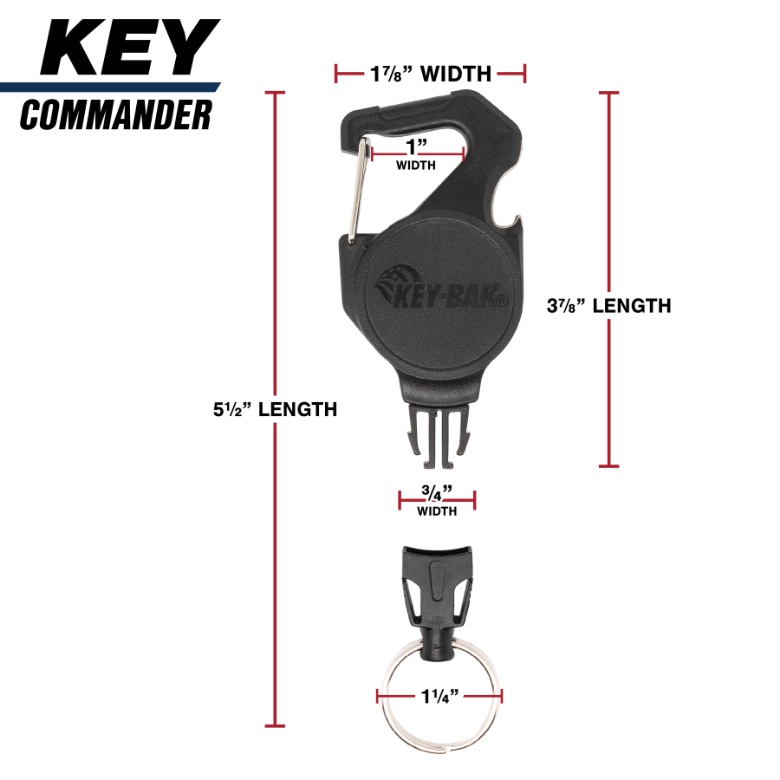 갤러리 이미지 2